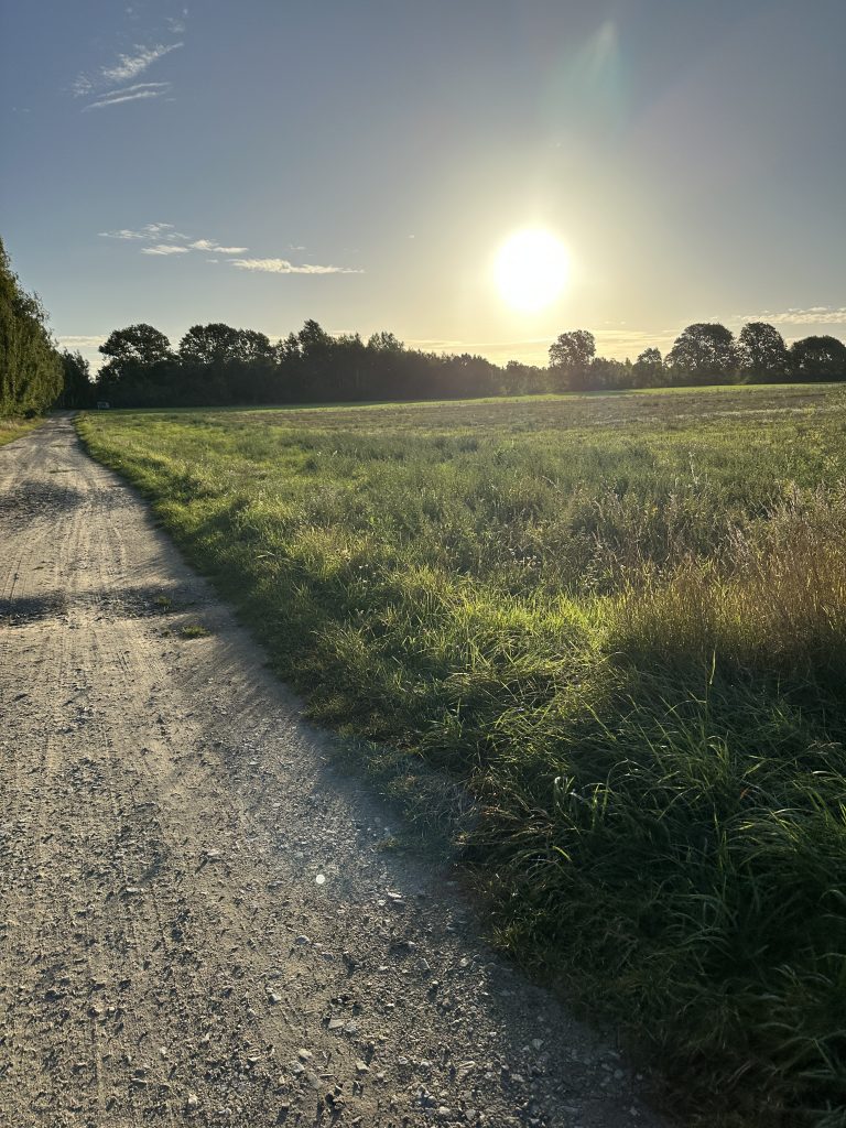 Früher Morgen Alte Salzstraße 