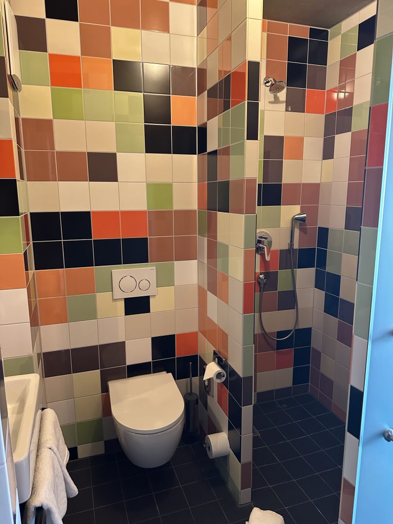 Toilette und Dusche im elferroms Hotel