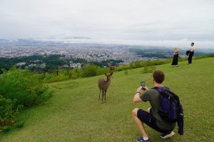 Wanderung zum Mount Wakakusa in Nara