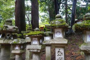 Spiritueller Weg zum Tempel in Nara