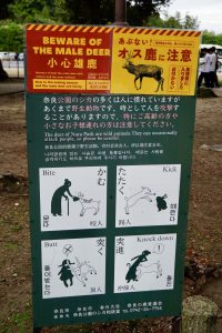 Anweisung zum Umgang mit den Hirschen in Nara