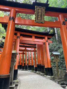 Tausende von Torii Toren