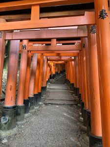 Tausende von Torii Toren