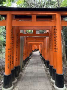 Tausende Torii Tore