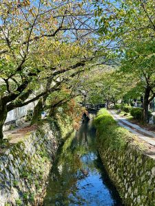 Der Philosophenweg in Kyoto – ein ruhiger Spazierweg entlang eines kleinen Kanals